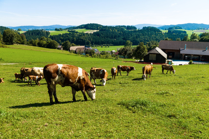 Sektor Landwirtschaft